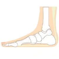 Pied plat Image
